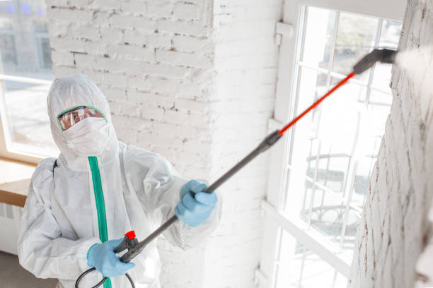 Best Industrial Mold Remediation  in Prattville, AL