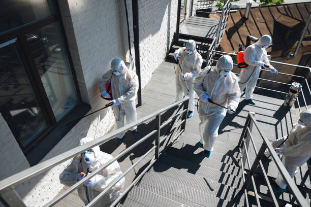 Best Crawl Space Mold Remediation  in Prattville, AL