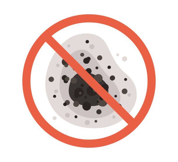 Best Mold Documentation for Insurance Claims  in Prattville, AL