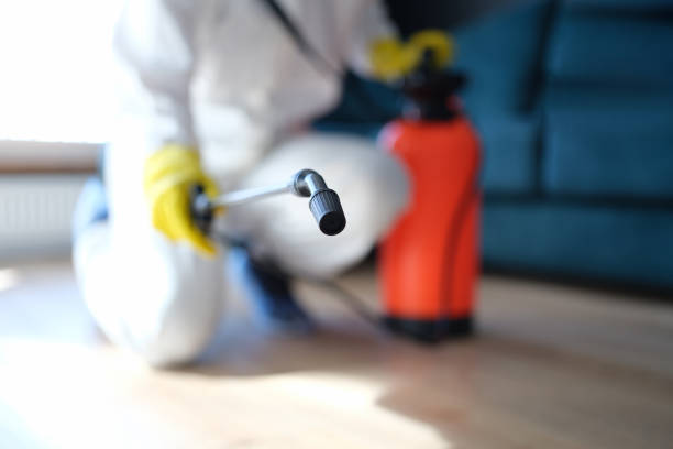  Prattville, AL Mold Removal Pros