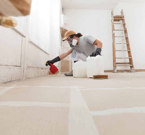 Professional Mold Removal in Prattville, AL